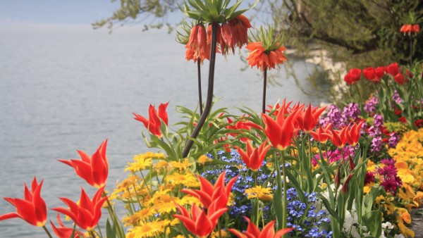 Lake Leman